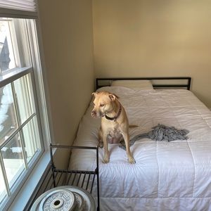 Meet your Posher, Alexandra